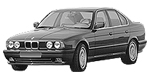 BMW E34 P300A Fault Code